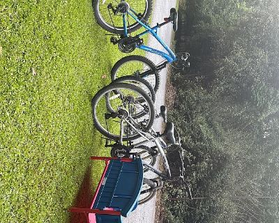 Neighborhood yard sale