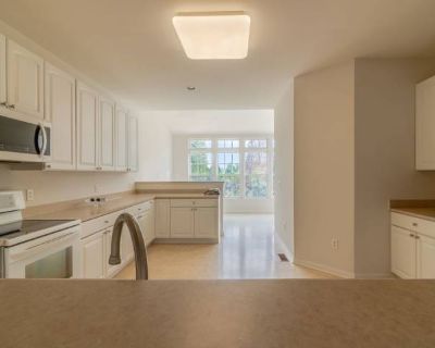 3 Bedroom 2.5BA 3800 ft Pet-Friendly Apartment For Rent in Sussex County, DE