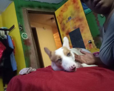 Minimum stay: 1 month. Bills included. Age preference: 18 - 70. Available for students. I am looking for a roommate. That is willing to help me pay for rent the rent is $1,575 but all I need is somebody who is willing to pay $500 that's including everything.. I am an outgoing female looking for a roommate I work full-time and I do have a dog. I am pretty laid back I'm also 420 friendly.