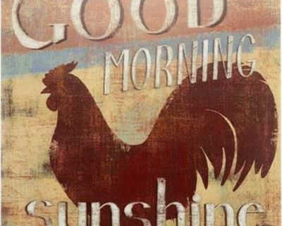 New in package - 'Good Morning Sunshine' Rooster Retro Vintage Metal Tin Bar Sign,