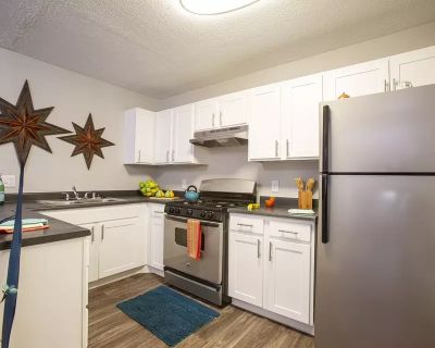 1 Bedroom 1BA 609 ft Pet-Friendly Apartment For Rent in Albuquerque, NM