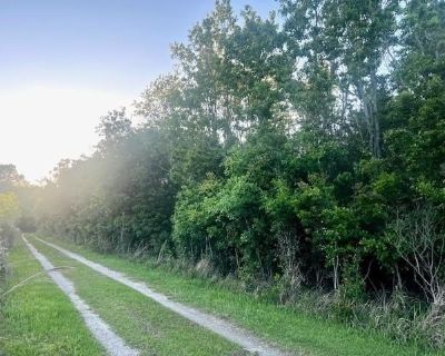 Bellingrath Rd, Theodore, Plot For Sale