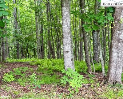 1 Bedroom Vacant Lot For Sale in Fleetwood, NC