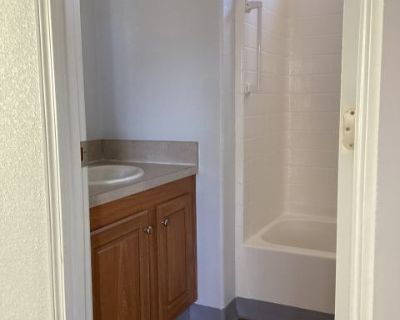 1 Bedroom 1BA 352 ft Pet-Friendly Apartment For Rent in Oceano, CA