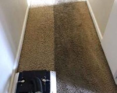 Affordable Carpet Cleaning Services In Turlock