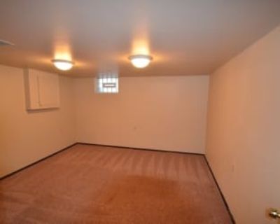 Pet friendly $1,000 per month room to rent in Minneapolis