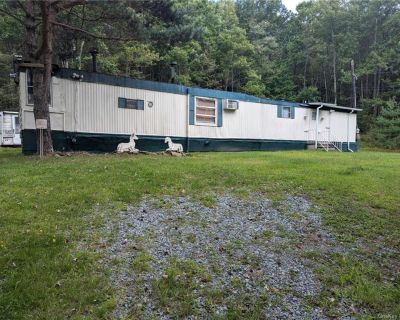 2 Bedroom 1BA 600 ft Mobile Home For Sale in Swan Lake, NY