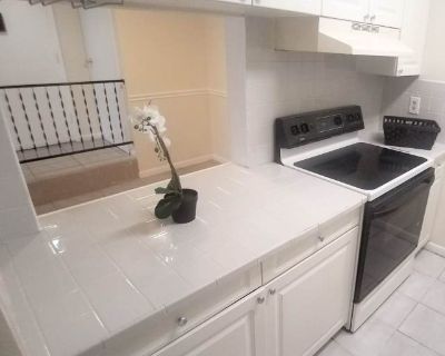 1 Bedroom 1BA 655 ft Pet-Friendly Apartment For Rent in Orlando, FL