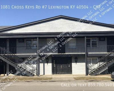 1 Bedroom 1BA 800 ft Furnished Apartment For Rent in Lexington, KY