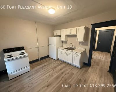 60 Fort Pleasant Avenue. Welcome to this recently updated, studio apartment located on Fort Pleasant Ave in Springfield. This 1st floor unit features Luxury Vinyl Plank flooring through the whole apartment. Fresh paint that lights up the studio, making it bright and cozy. The kitchen and bathroom have been upgraded as well. The apartment is ready for you to move in and make it your own. Conveni...