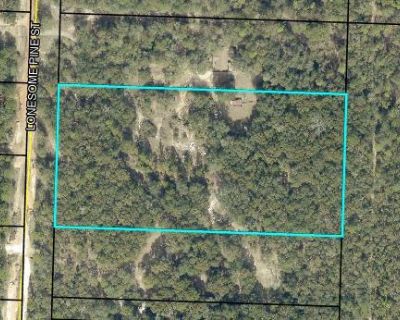 1 Bedroom Vacant Lot For Sale in Holt, FL