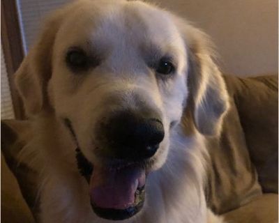 Marley is a 3 year old boy who loves to play, walk, rides and cuddle.