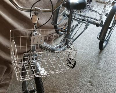 Hiram 3 Wheel Adult Bicycle 24in