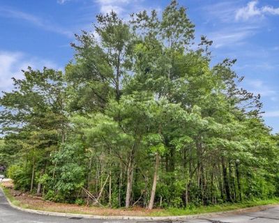 Randall Farm Dr, Easton, Plot For Sale