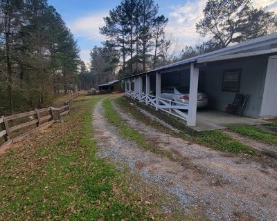 Adam - Needs a Place on iROOMit or a Room