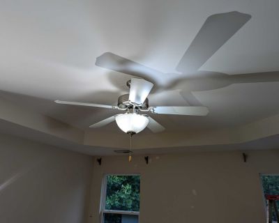 Working Ceiling Fan