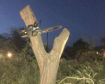 BENNINGER TREE AND JUNK REMOVAL LLC