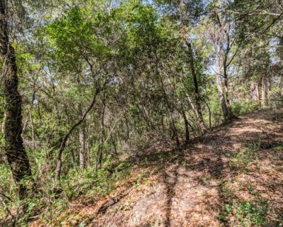 Single Family Home For Sale in FELTON, CA
