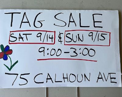 Multi Family Tag Sale