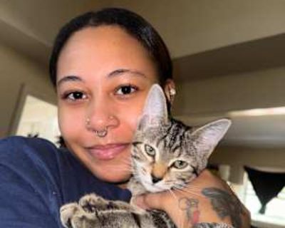 gia, 21 years, Female. Looking in: Hauppauge, Suffolk County, NY