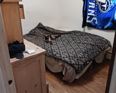 Minimum stay: 3 months. Deposit: 600. Bills included. Age preference: 26 - 70. Available for students. S/W Springs , near bus stop, Brookside/8th street. share with a few housemates who work, rarely see anyone. 420 friendly, no alcohol here. If sounds like a fit, look forward to meeting you. If not, good luck in your search. Have a few cats and a little dog here.. I am 70 year old yoga instruct...