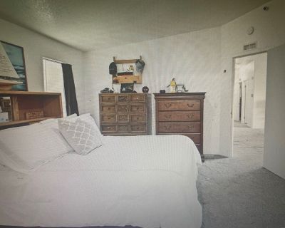 Minimum stay: 6 months. Deposit: 1100. 0. Age preference: 70 - 70. Available for students. 3/2 in Mckenzie Meadows. Master bedroom with private bath $1050, second bedroom $850 shared bath. Third bedroom is occupied by owner. 1/3 utilities, internet, trash, and water. Backyard has firepit and vegetable garden. Deposit is required. Please PM for more info and pet policy. Please, no smoking of any...