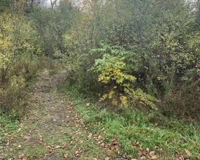 Lots and Land For Sale in Rome-Outside, NY