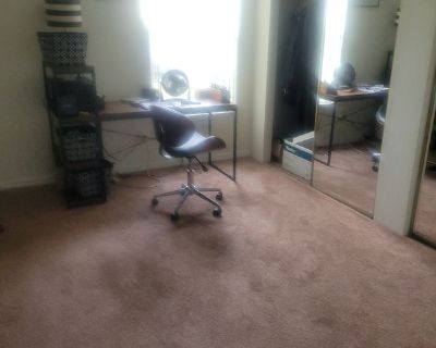 Jeffrey Smith (Has an Apartment) on iROOMit. Room in the 1 Bedroom 1BA...