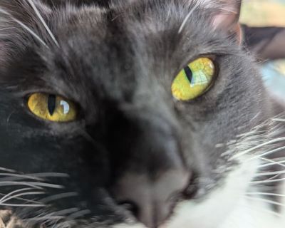 Sage - Needs a Place or a Room
