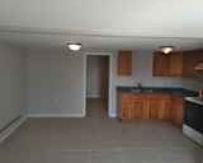 1 Bedroom 1BA Apartment For Rent in Osage Beach, MO 1153 Links Rd unit 24