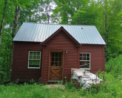 1 Bedroom 1BA 516 ft Single Family House For Sale in Corinth, VT