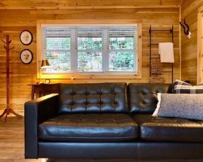 1 Bedroom 1BA 512 ft Furnished Pet-Friendly Apartment For Rent in Fruitland, NC