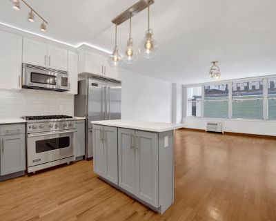 1 Bedroom 1BA 850 ft Pet-Friendly Condo For Rent in Chicago, IL