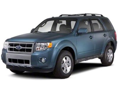 Used 2010 Ford Escape XLT