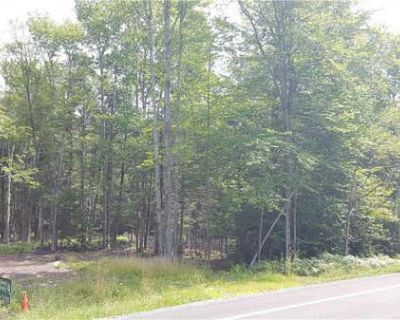 Unimproved Land For Sale in GRAHAMSVILLE, NY