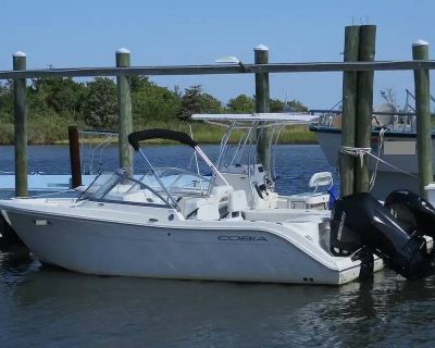 Cobia 220 DC
