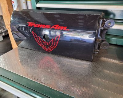 93-02 OEM Pontiac Firebird Trans Am Center Tail Light Filler Rear Taillight WS6