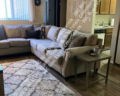 8555 W. Dakota Avenue. Dogs OK Restricted Breeds: Rottweiler Doberman Pinscher American Staffordhire Terrier American Pit Bull Terrier German Shepherd Akita Cane Corso. Dogs ok, Cats ok. Contact: Belem Moreno 303-495-2212. Small dogs allowed. Large dogs allowed. Cats allowed. 1 Bedroom. 1 Bathroom. 650 ft