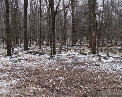 Lots and Land For Sale in Newfoundland, PA