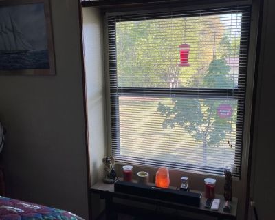 Joey (Has a House) on iROOMit. Room in the 1 Bedroom 1BA House For Rent...
