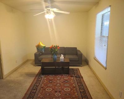 Private room with own bathroom in an apartment, Denton, TX 76201