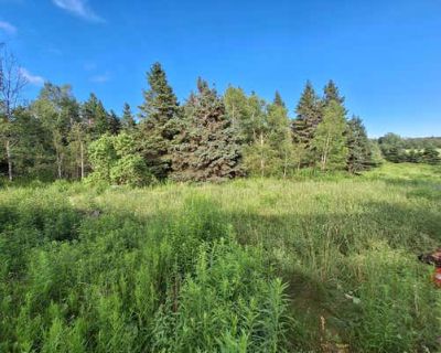 720 ft Mobile Home For Sale in EASTON, ME