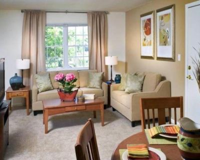 1 Bedroom 1BA Apartment For Rent in Peabody, MA