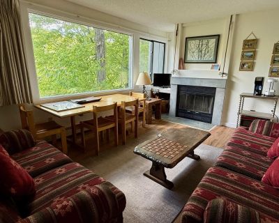 2 Bedroom 1BA 850 ft Apartment For Rent in Lincoln, NH