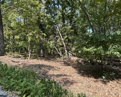 Land For Sale in GRAVOIS MILLS, MO