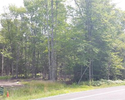 869458 ft Lots and Land For Sale in Grahamsville, NY