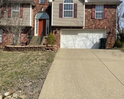 Furnished Room for Rent - Large clean furnished basement in Jeffersontown