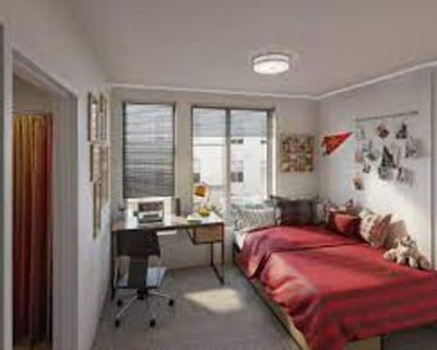 One Bed One Bath Tempo Luxury Apartments