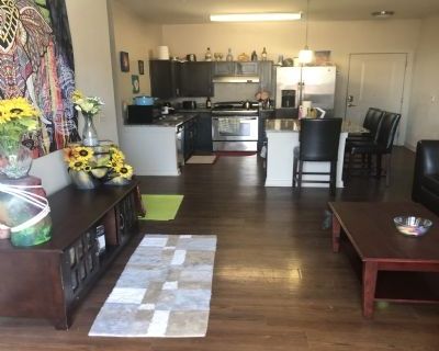 1 Bedroom 1BA Pet-Friendly Apartment For Rent in Marietta, GA