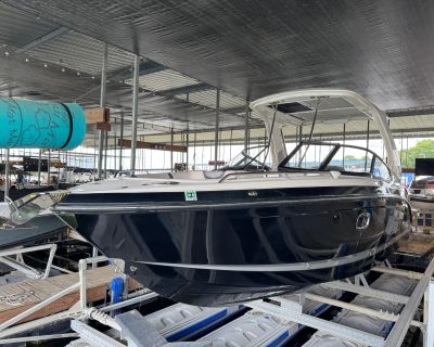 Chaparral 317 SSX 2019